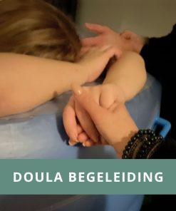 Doula Vief Zwanger