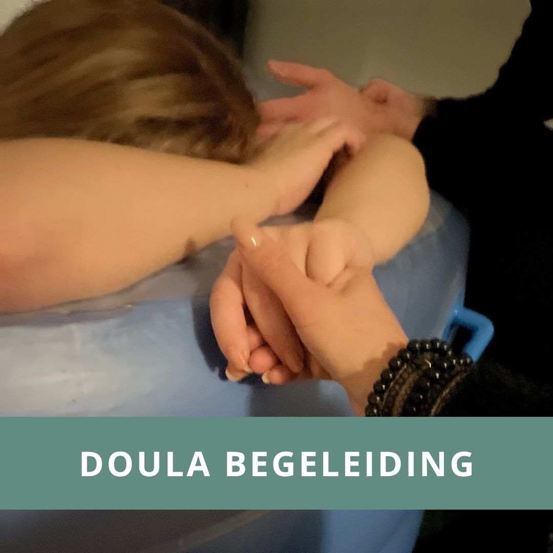 Doula Vief Zwanger