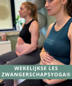 Wekelijkse Zwangerschapsyoga les
